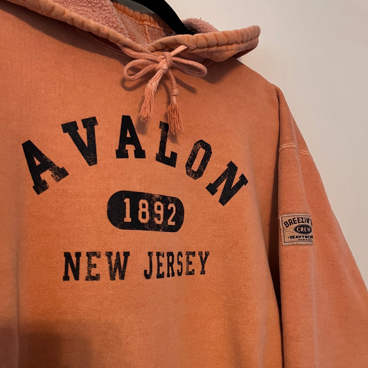 Vintage Avalon New Jersey Garment Dyed Hoodie (M)